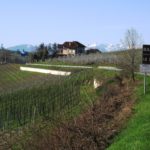 Top Weine aus dem Piemont