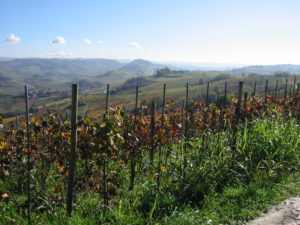Top Barolo Weine Piemont