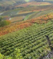 Barbaresco 2010: eine Weinprobe der neuen Barbaresco Jahrgänge in Alba